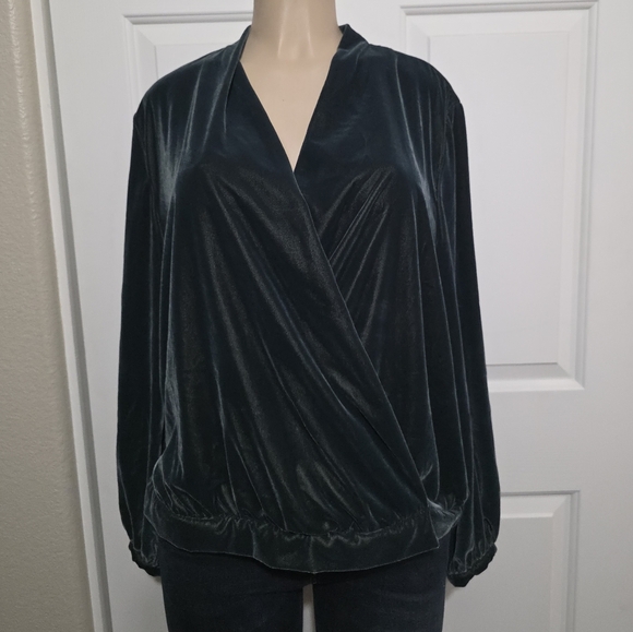 Banana Republic NWT Deep Teal Velvet Blouse Sz  XL Crbcls - Picture 1 of 7